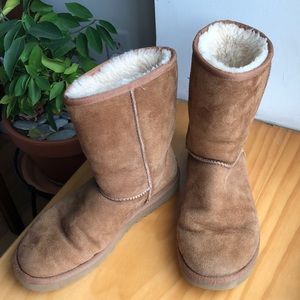 Chestnut Ugg Boots
